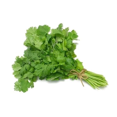 Fresh Coriander Bunch 1 Pcs