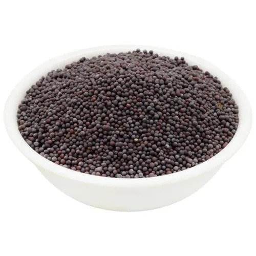Ganesh Mustard Seed Large 454 gm