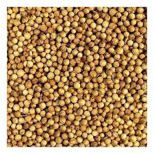 Shree Ganesh Coriander seeds 454g